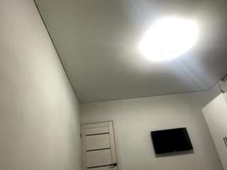 Li