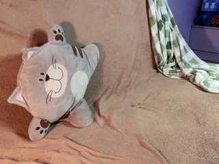 NildaBulls live cam preview