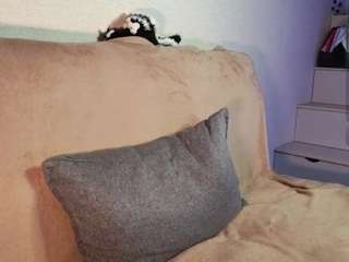 NildaBulls live cam preview