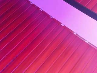 Cameron-blake