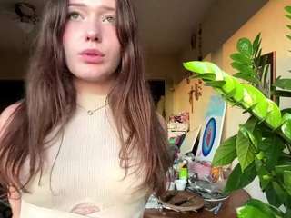 karyllinnan