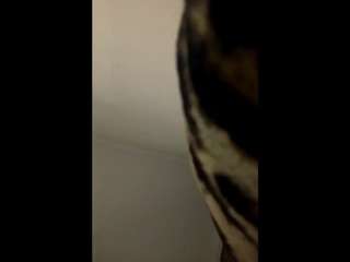 carolynnhoehn