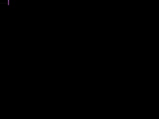 LilyHans