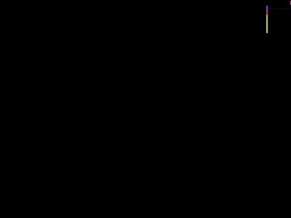 lilyhans