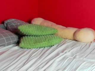 Nova-Gray live cam preview