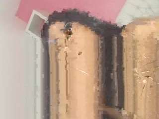 daniathompson live cam preview