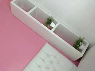 daniathompson's live room