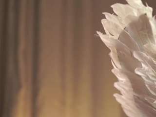 le modèle chantaybernieri est en webcam porno dans un show sur le site camsoda, il possède les tags suivants: teen 18,young adult,hd