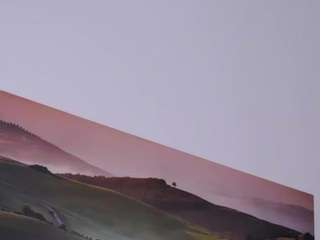 felliccita
