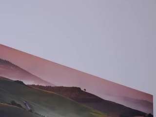 felliccita