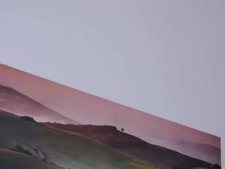 felliccita