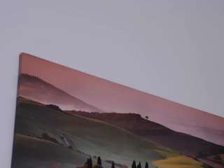 felliccita