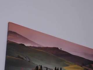 felliccita