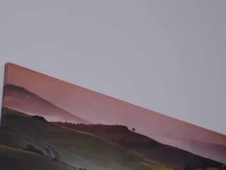 felliccita