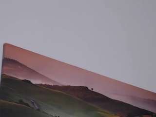 felliccita