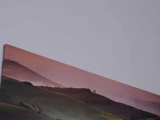 felliccita