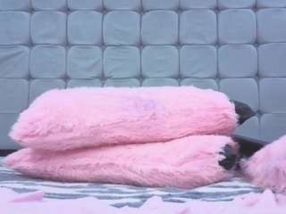 Karol-Messy