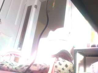 nastythicccdianasquirts live cam
