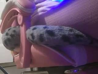 nastythicccdianasquirts live cam preview
