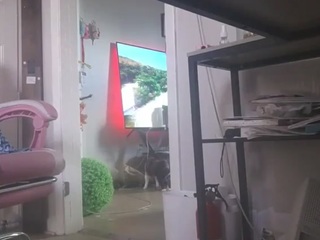 nastythicccdianasquirts
