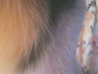 nastythicccdianasquirts