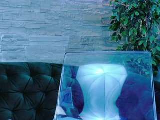 Avelynee live cam preview