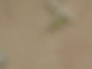 Marshagriffin's cam show statistics and live stream