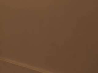 evonny-becker's live room