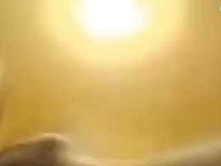 pansigoon1er