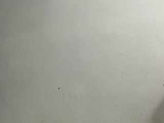 Hikari live cam preview