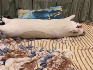 kayceeacosto