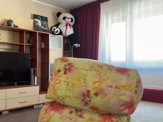 Stella live cam preview