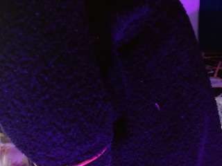 fiorella-wish's live room