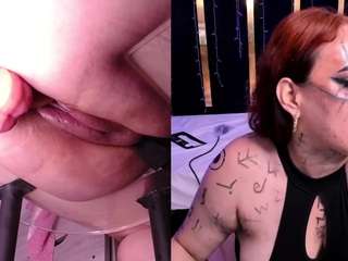 stacyreed