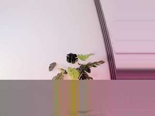 Mylovegenesis