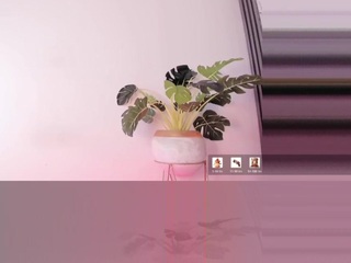 Mylovegenesis