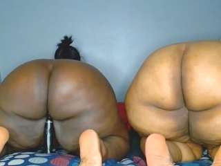sexybigassT live cam preview