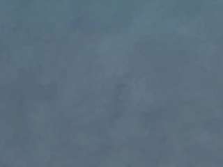 Avelia live cam preview