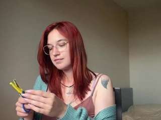 sumikobleau webcam