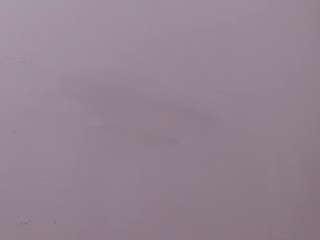 saray-rose