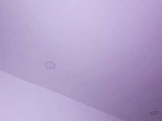 Elizabethh31
