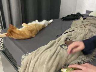 angelaniebla