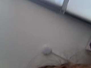 angelaniebla