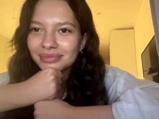 lacreshapulice webcam