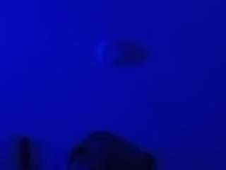 Huge cock.Ent.Videos and Pic