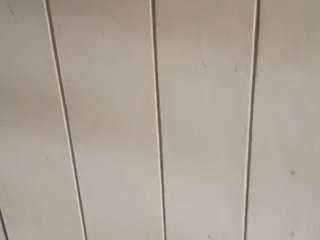 mrshegetsprung