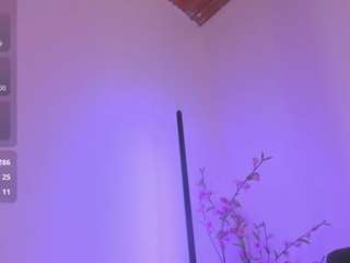 artemisnyx