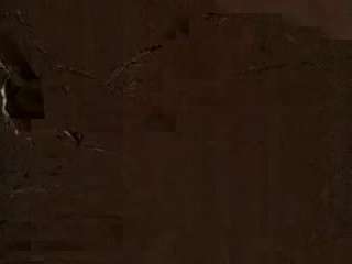 thesickpacheco live cam preview