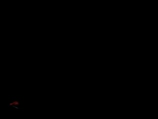 elvarion