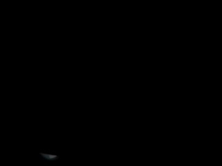 elvarion